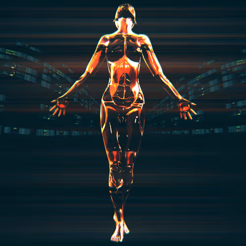 Androidina Collection