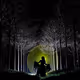HiddenForests