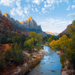 Element-Medien-Platzhalter