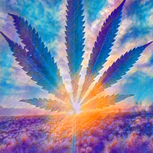 High Holi-Daze