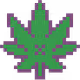 High Tide Indica
