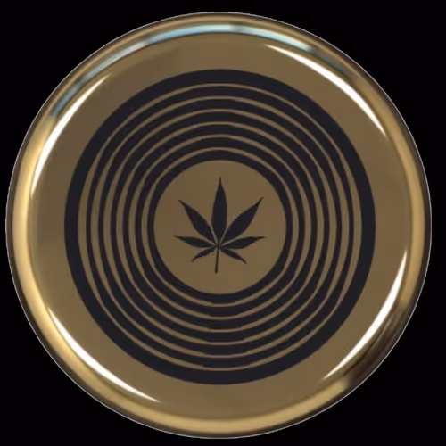 HighFidelity Collection