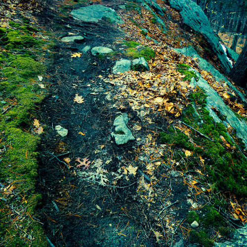 Hiking Vibes