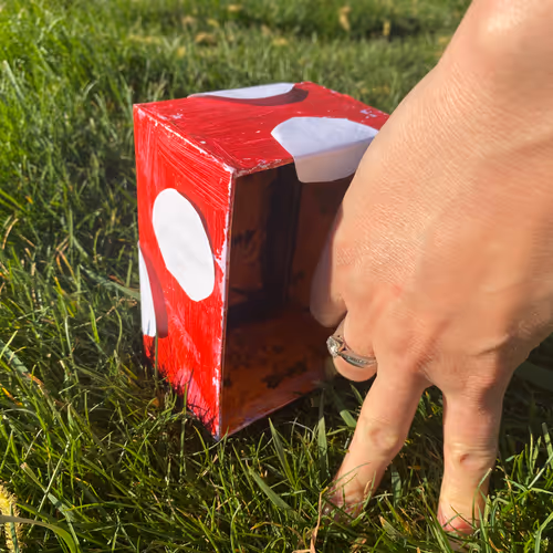 Hilary's Creature Playground Derivatives - old