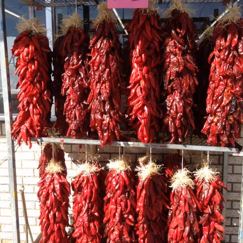 Hi-Lo Market