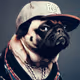 Hip-Hop Animalz