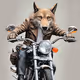 Hog Riding Wolves
