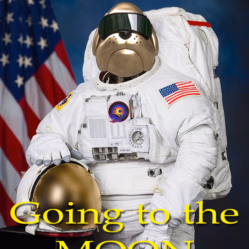 HOGE COIN MEMES