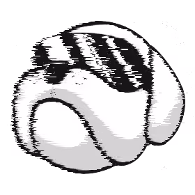 HOGE Logo Derivatives - old