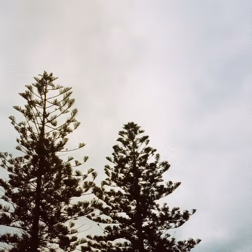 Holiday in Bermuda - old