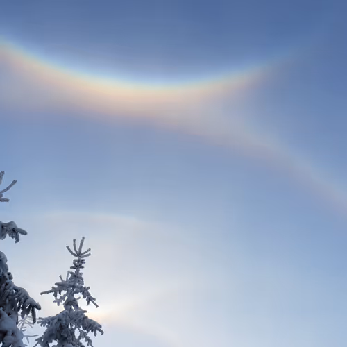 Hollo effect 2018.12.16