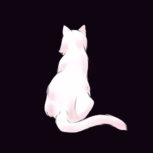 Holly Black White Cat #5