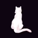 Holly Black White Cat #5
