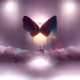 Holosomnia