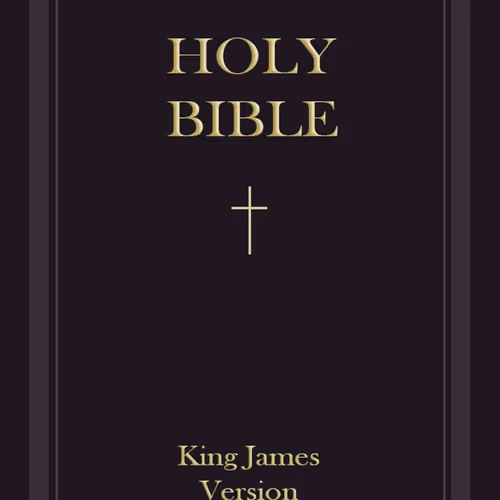 Holy Bible #1