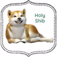 Holy Shibas