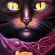 Holy Black Cats