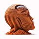 Homo sapiens martianus