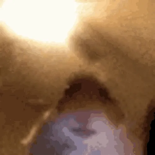 hOnEy V3