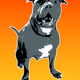 Hooch