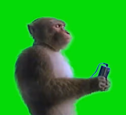 Hood Music Monkey