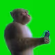 Hood Music Monkey