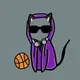 HoodiCats