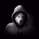 Hoodie Dogs