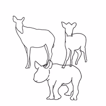 Hoofed animals