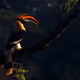 The Hornbill Scape - old