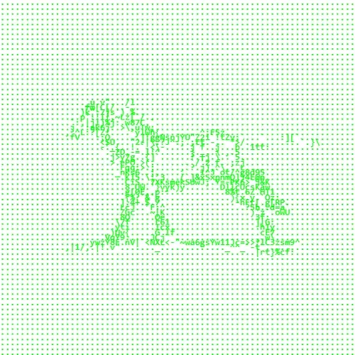 WHITE EDITION horse-gif-cards