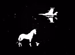 Horse in the space