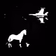 Horse in the space