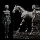 Horse of Binary