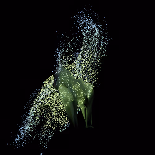 horse003