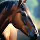 horses Image paint