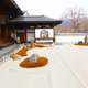 Hotokuji Temple Japan  PreSpring Photogrpahy
