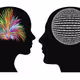 DIGITAL PERCEPTION OF ART