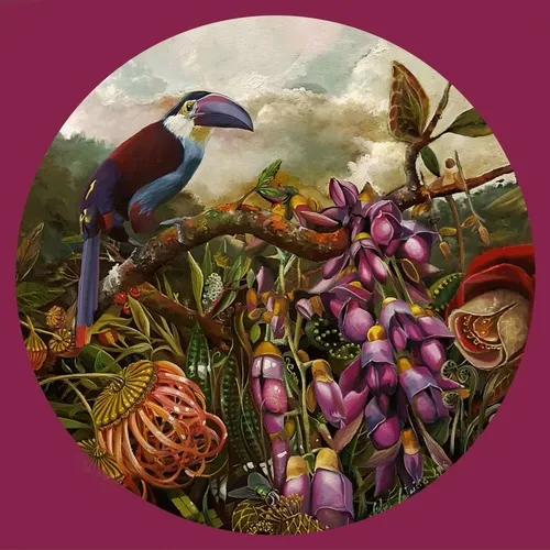 Hovering Beings From Paradise