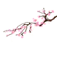 htfdsgds