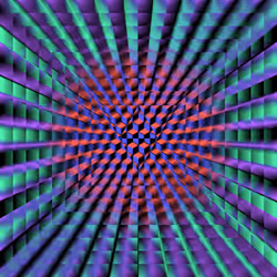 HUGO Collection