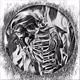 Human_Anatomy