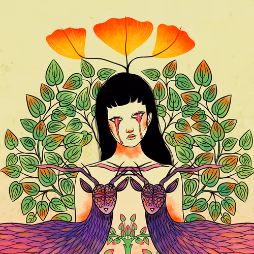 Women And Nature - WAN - old