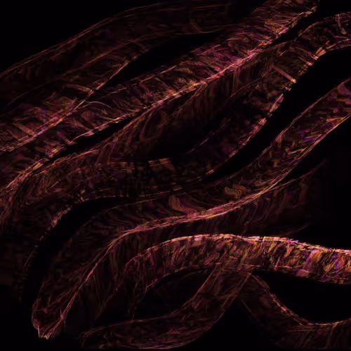 Human_Emotion_Collection