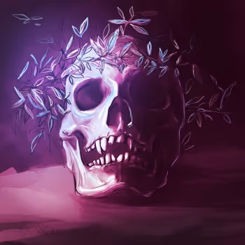 Human skulls - old