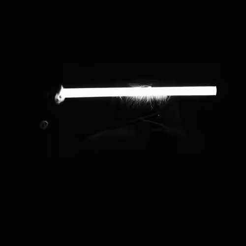 Human space - old