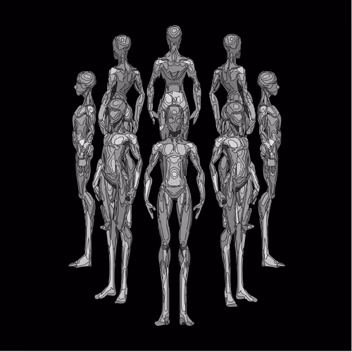 HUMANOID ANATOMY