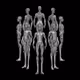 HUMANOID ANATOMY - old