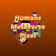 Humans Metaverse Pixel