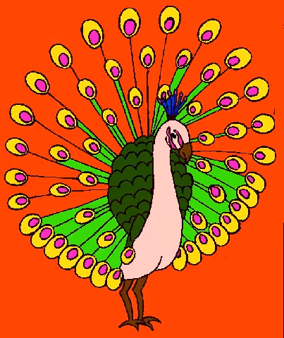 humble peacock #1